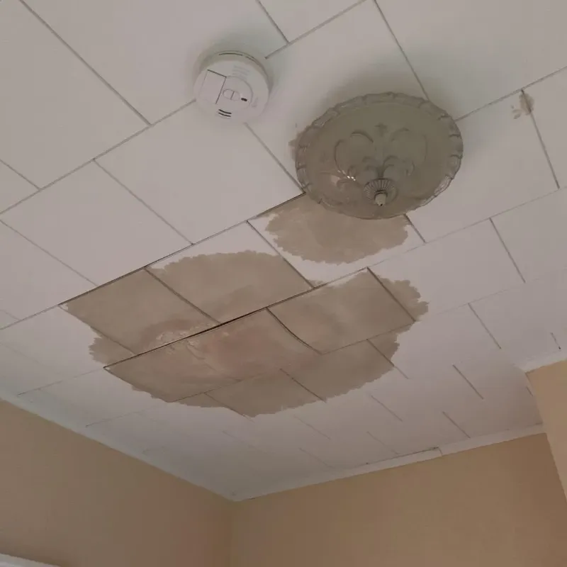 Ceiling Water Damage Repair in Dallas County, MO