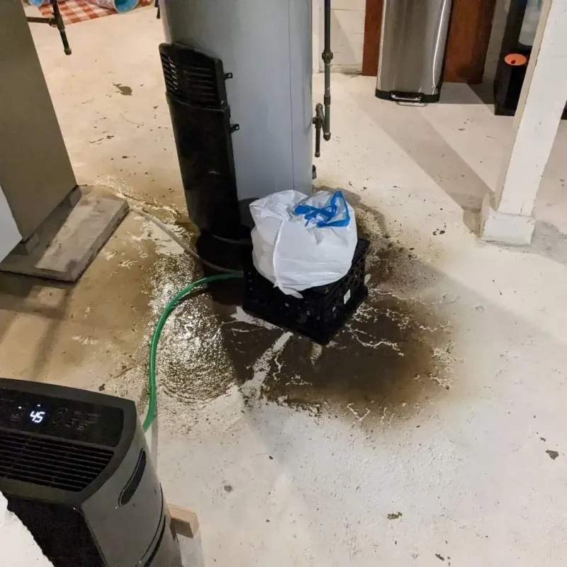 Sewage Backup Cleanup Service in Dallas County, MO